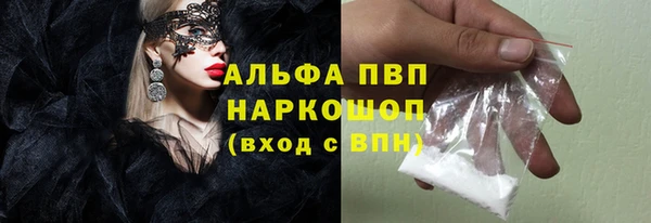 PSILOCYBIN Михайлов
