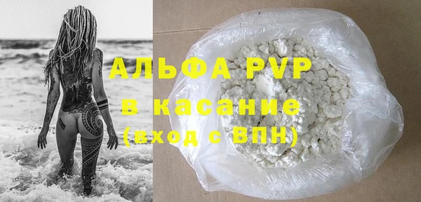 PSILOCYBIN Михайлов