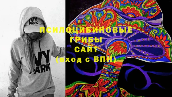 PSILOCYBIN Михайлов