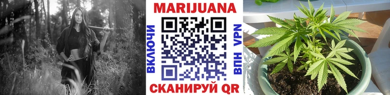 Шишки марихуана SATIVA & INDICA  гидра ссылки  Кондрово 